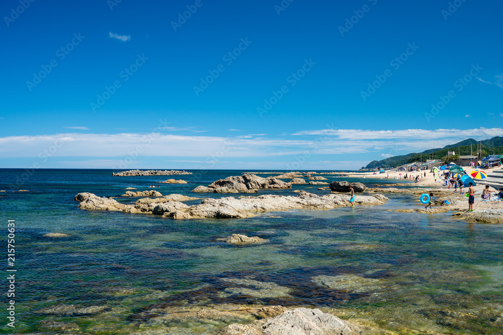 Fototapeta premium キレイな海の笹川流れ