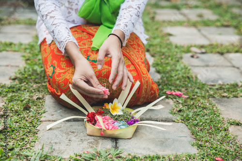 balinese woman doing ritual offering canang sari and praying at  photo