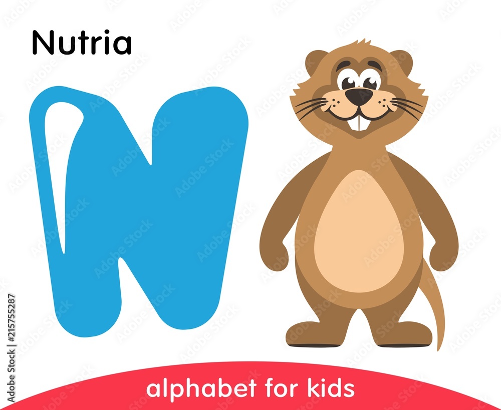 Blue letter N and brown Nutria. English alphabet with animals. Cartoon  characters isolated on white background. Flat design. Zoo theme. Colorful  vector illustration for kids. Stock Vector | Adobe Stock