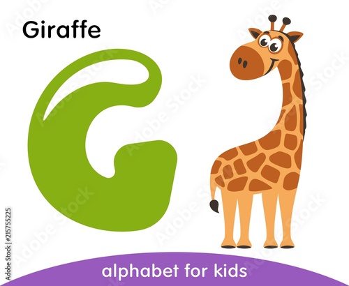 Green letter G and brown Giraffe. English alphabet with animals. Cartoon characters isolated on white background. Flat design. Zoo theme. Colorful vector illustration for kids.