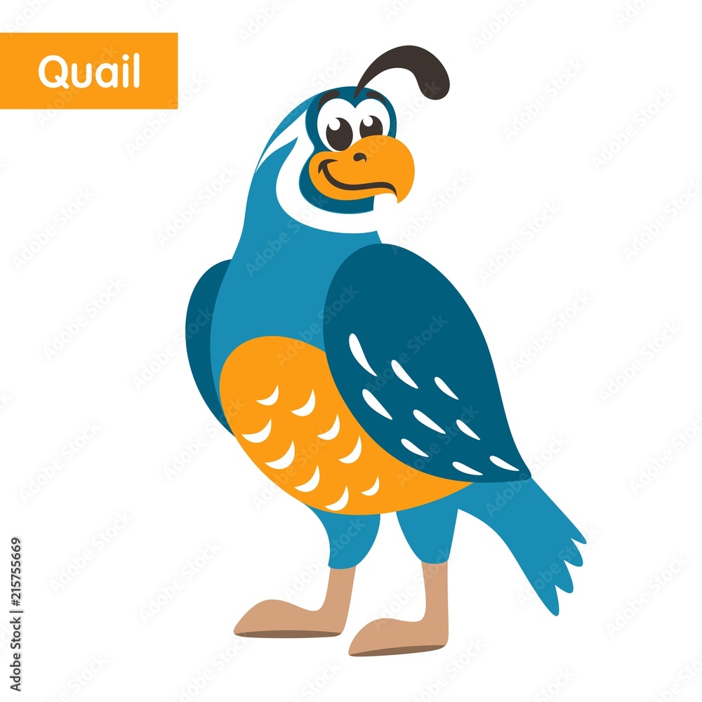 Blue quail with a yellow beak on a white background. Cartoon colorful character for children. Isolated object. Flat style. Vector illustration. Stock Vector | Adobe Stock Blue quail with a yellow beak on a white background. Cartoon colorful character for children. Isolated object. Flat style. Vector illustration. Stock Vector | Adobe Stock