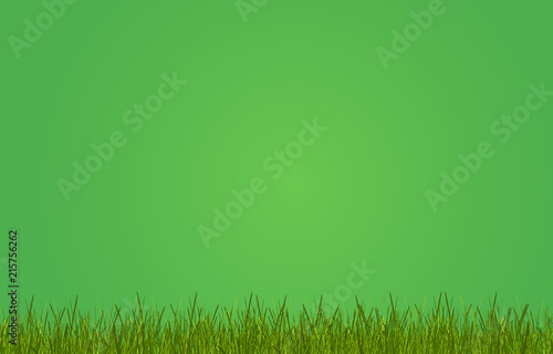 green grass meadow green background 3d-illustration2019 bold letters