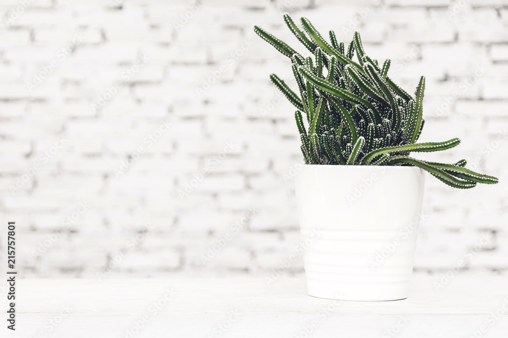 Interior style home decor with tree on table with white brick wall background Interior style home decor with tree on table with white brick wall background