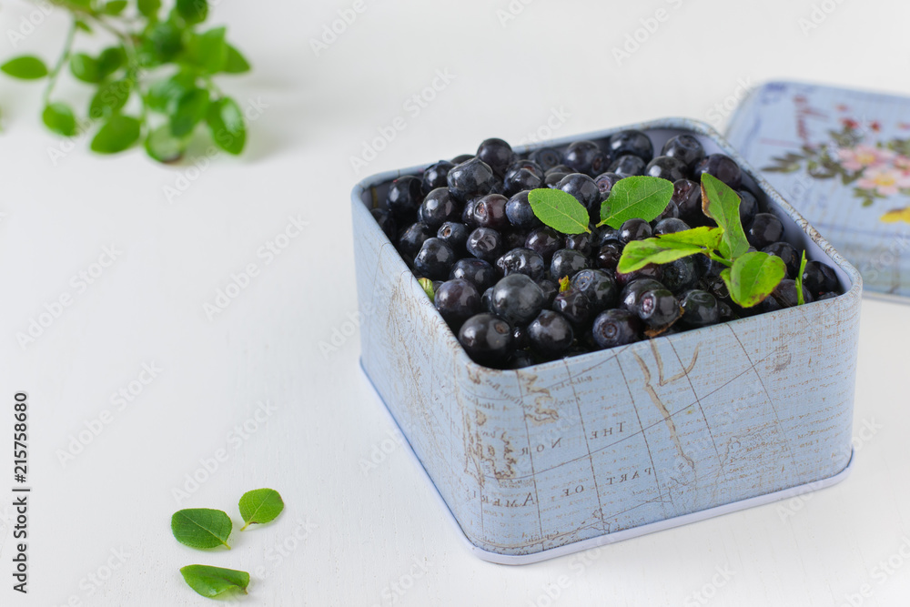 Blueberries with leaves in a metallic blue box on a white background