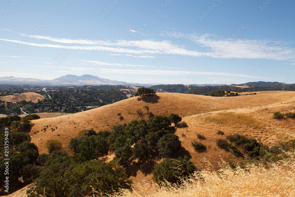 Martinez Hills and Dry Grass