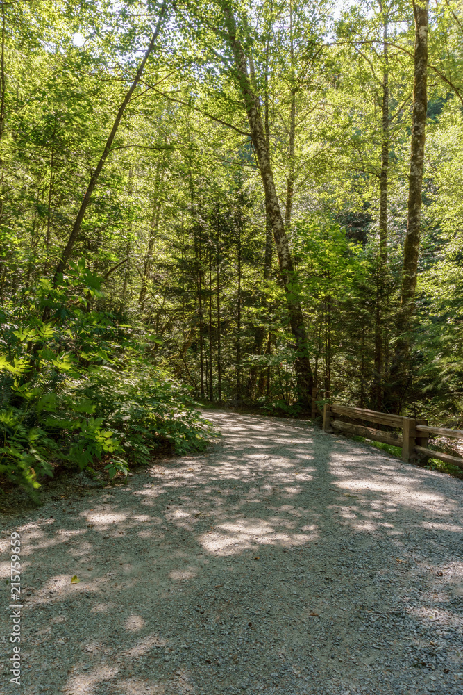 Entrance to the forest in Stawamus Chief Provincial Park British Columbia Canada. Entrance to the forest in Stawamus Chief Provincial Park British Columbia Canada.