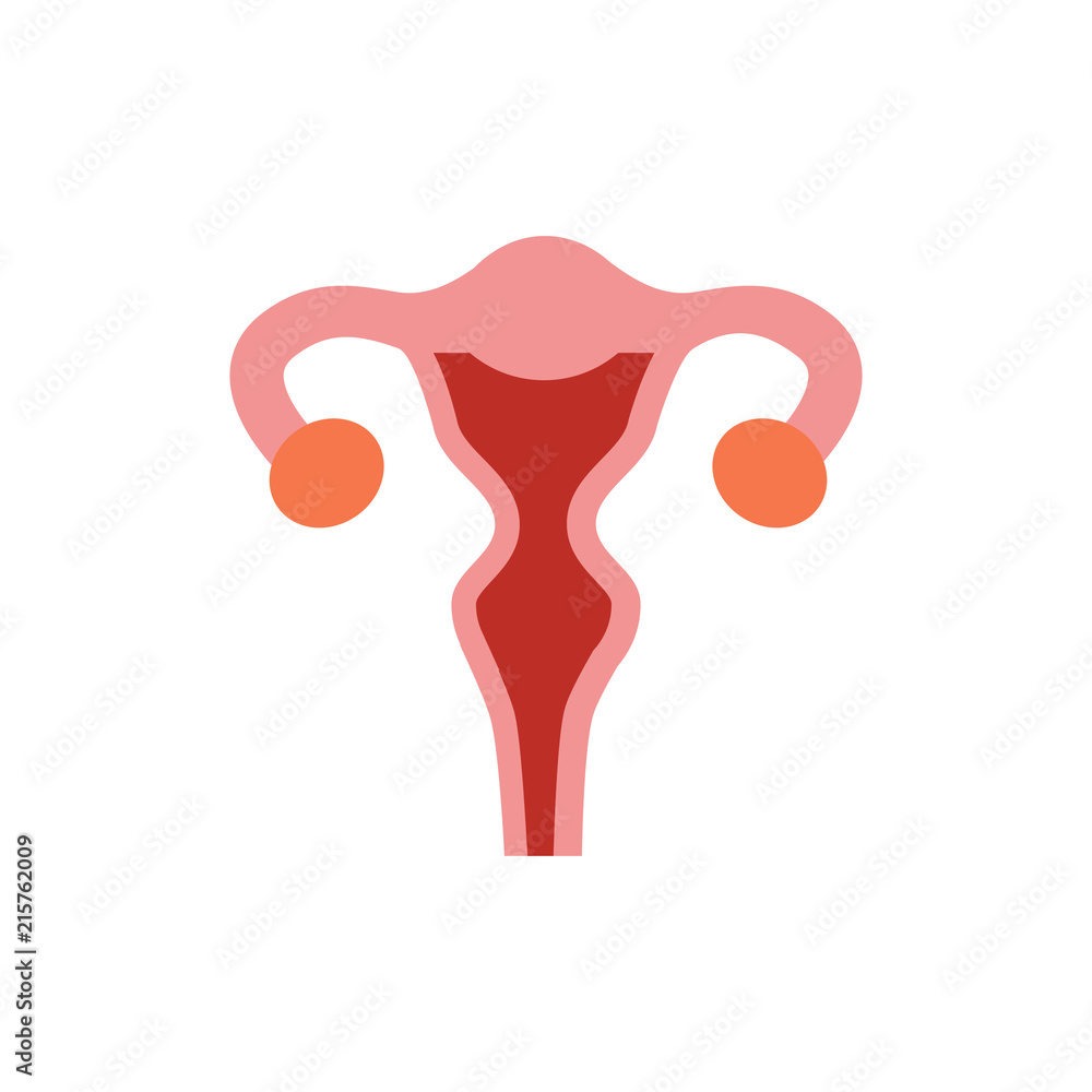 Vettoriale Stock Uterus Human Organ Logo Icon Design | Adobe Stock