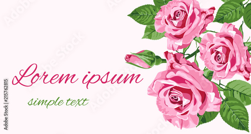 Greeting card with pink roses, place for text © TasiPas