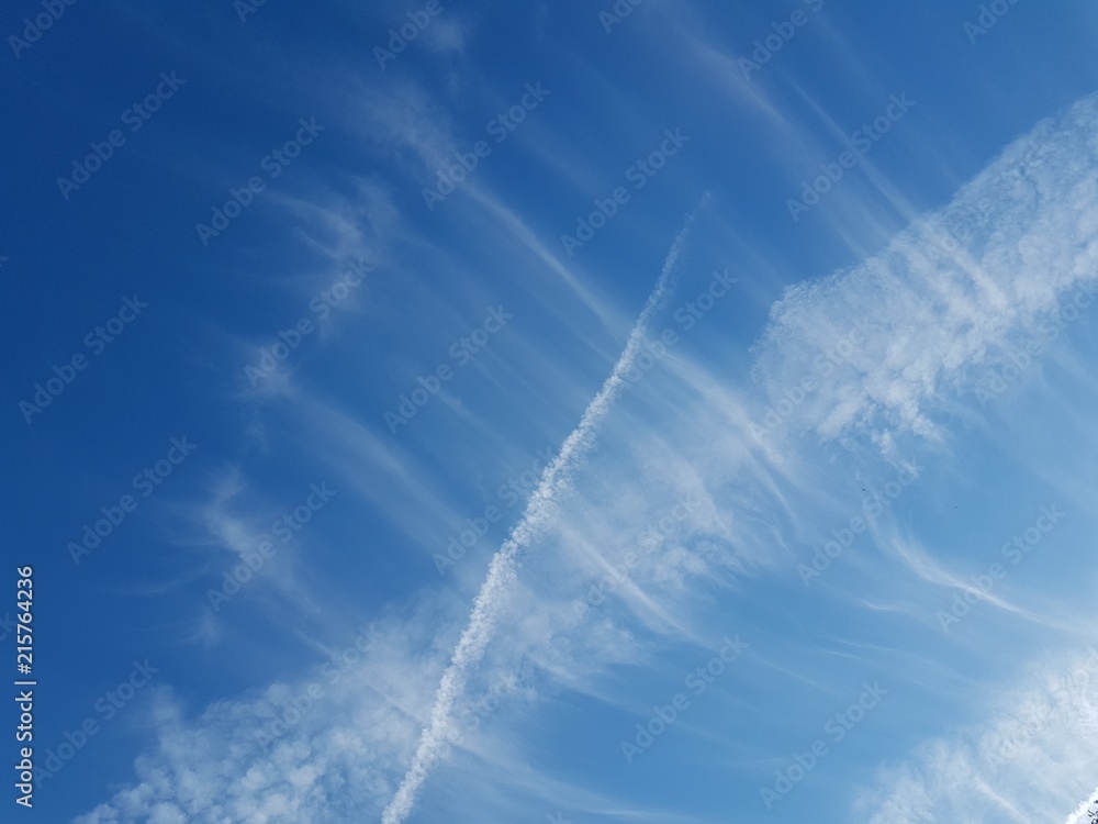 Ciel Ciel