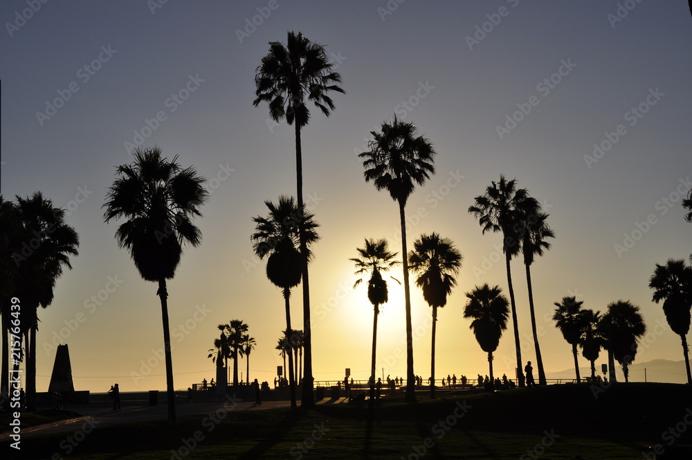 Palmtrees in sunset
