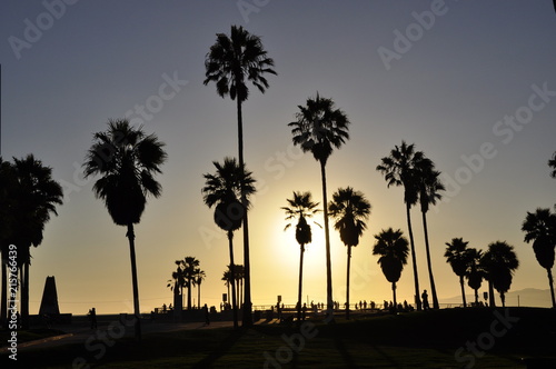 Palmtrees in sunset © Wouter