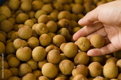 Dragon eye or Longan fruits are traded worldwide, with Thai as a dominant global export force and China as a giant and increasing import market.