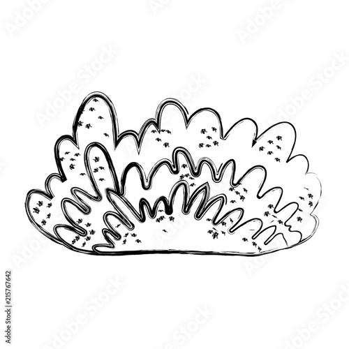 grunge nature bush plant with exotic leaves