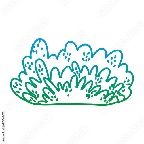degraded line nature bush plant with exotic leaves