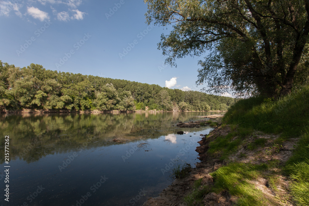 landscape with river