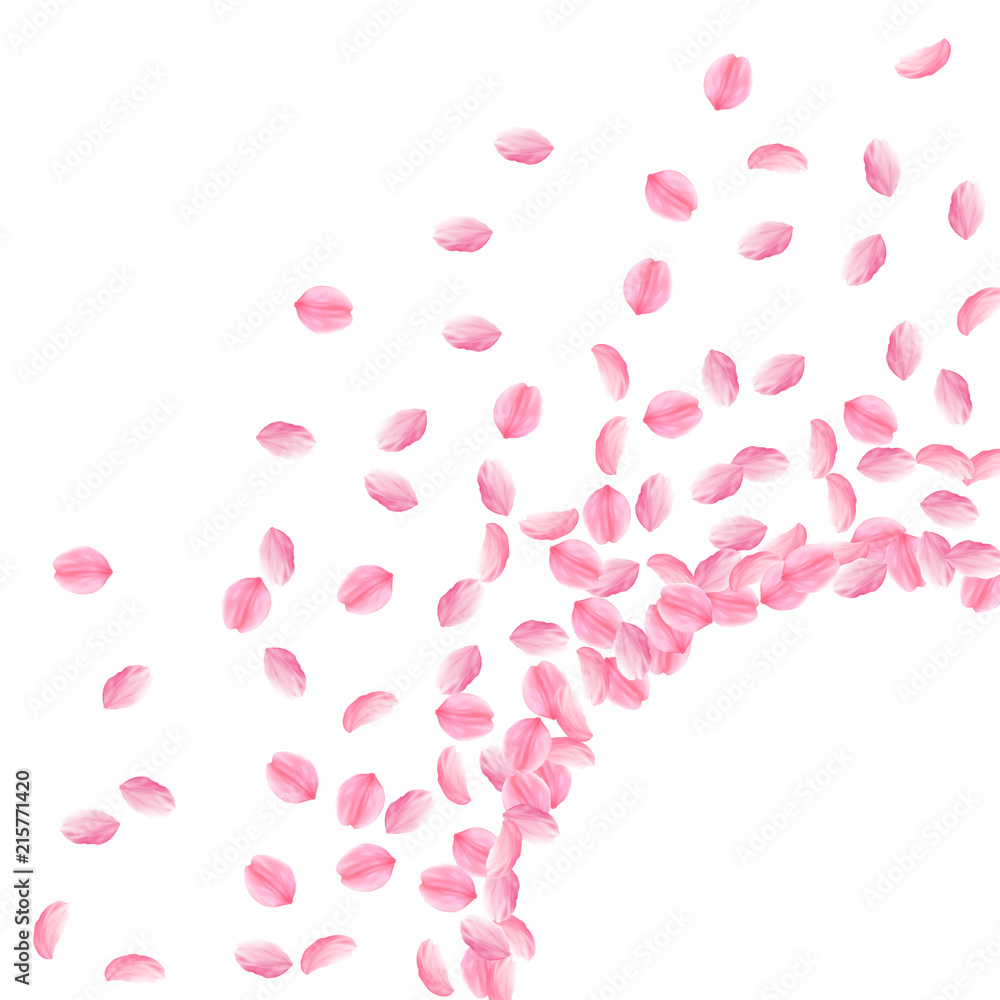 Sakura petals falling down. Romantic pink bright medium flowers. Thick flying cherry petals. Radiant