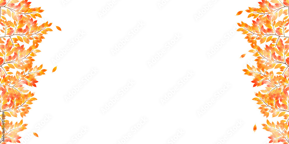 紅葉　秋　葉　背景