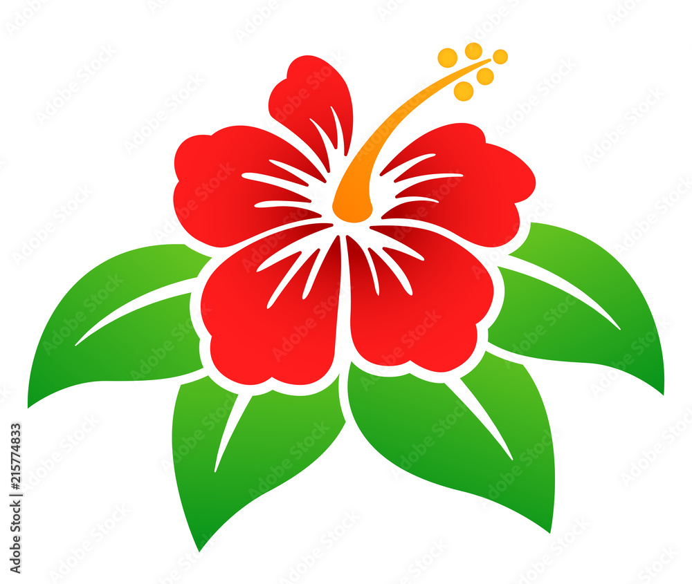 Vector hibiscus flower colorful design Stock Vector | Adobe Stock
