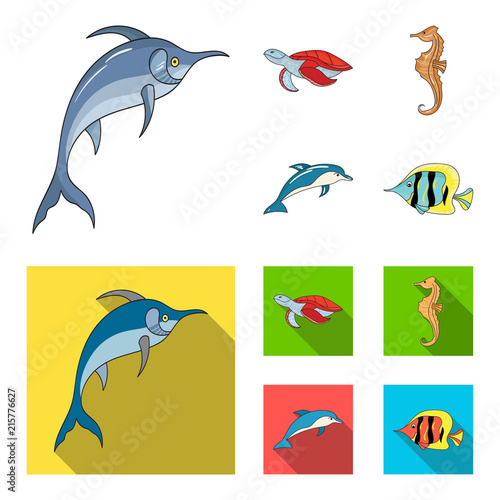 Merlin, turtle and other species.Sea animals set collection icons in cartoon,flat style vector symbol stock illustration web.