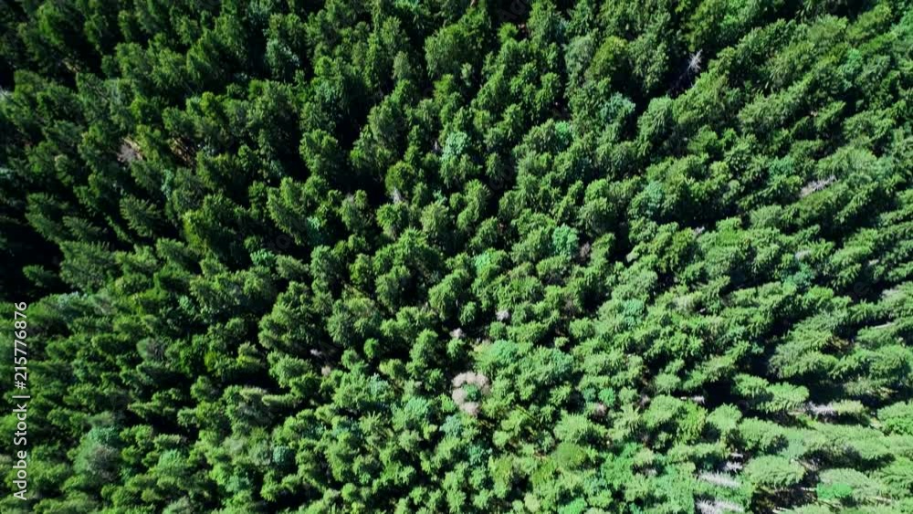 4K scenic flight of Eibsee in Bavaria on the bottom of Zugspitze the highest mountain in germany 4K scenic flight of Eibsee in Bavaria on the bottom of Zugspitze the highest mountain in germany