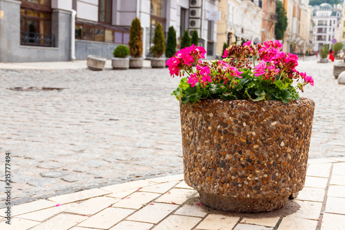 Fototapeta Naklejka Na Ścianę i Meble -  Large flower pot with blooming red geranium. Street decoration. City landscape design