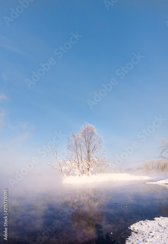 amazing landscape with frozen snow-covered trees in winter morning 