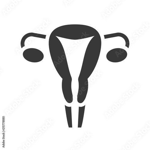 ovary and cervix, reproductive system, healthcare and medical related solid icon