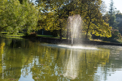 pond with fountain in park