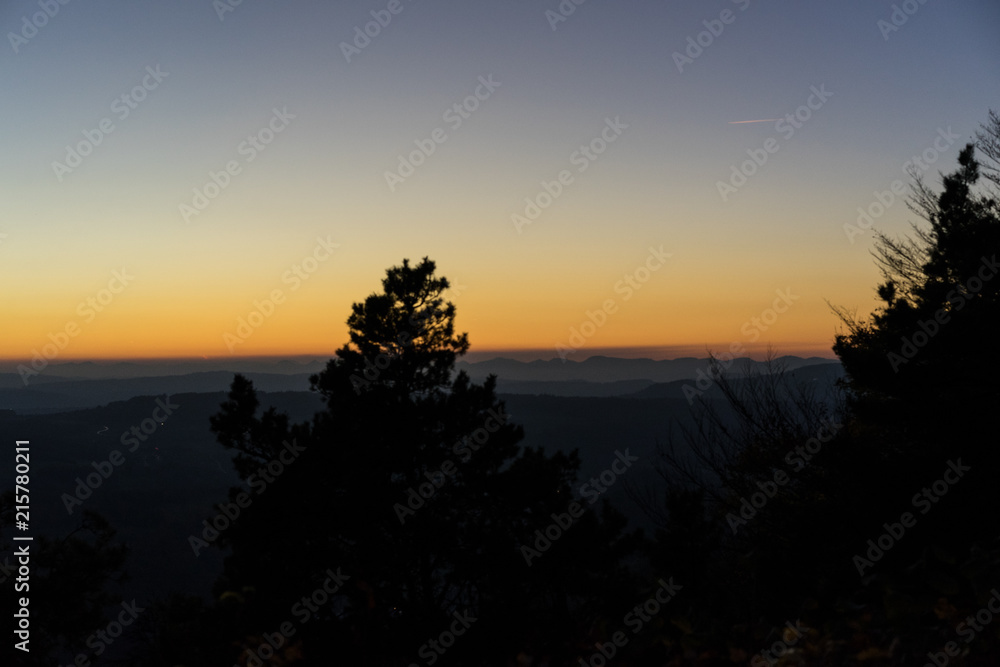 sunset scene with orange sky and tree sunset scene with orange sky and tree
