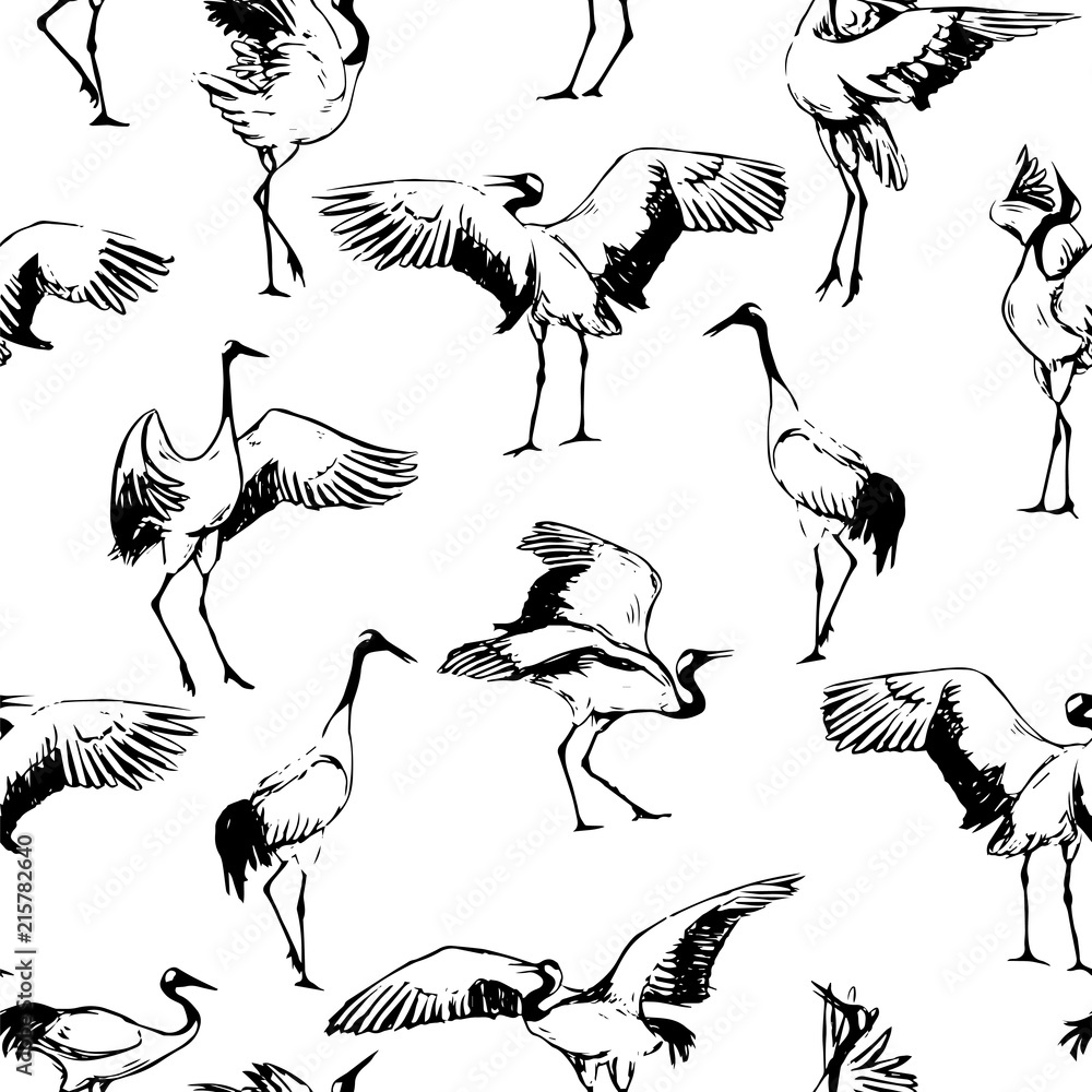 Obraz premium Dancing Japanese cranes in the snow