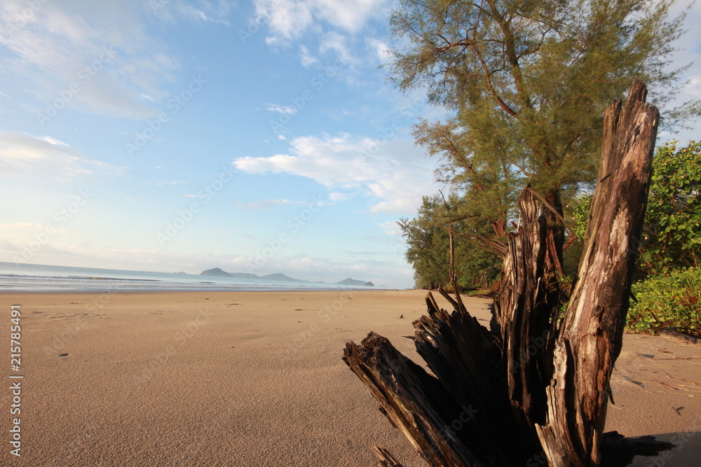 the beach on summer and holiday for your family. the beach on summer and holiday for your family.