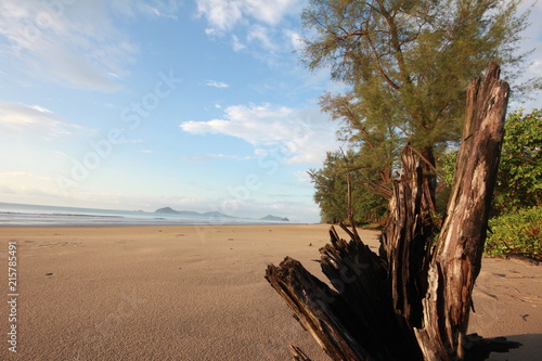 the beach on summer and holiday for your family.