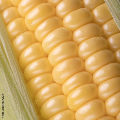 corn in the cob close-up