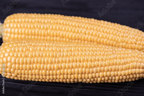 corn in the cob close-up