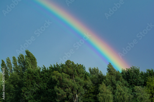 Bright Rainbow in stormy sky over forest