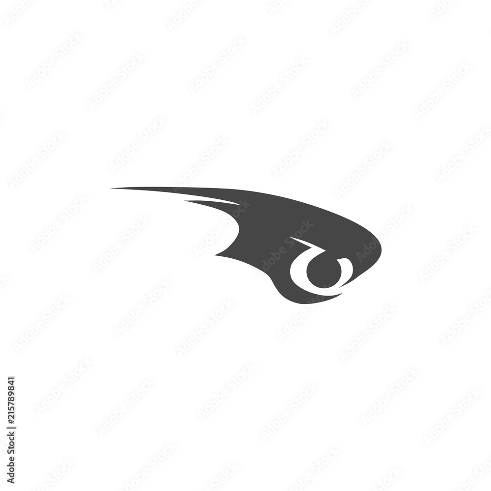 Fototapeta premium Eye of eagle icon, eagle logo