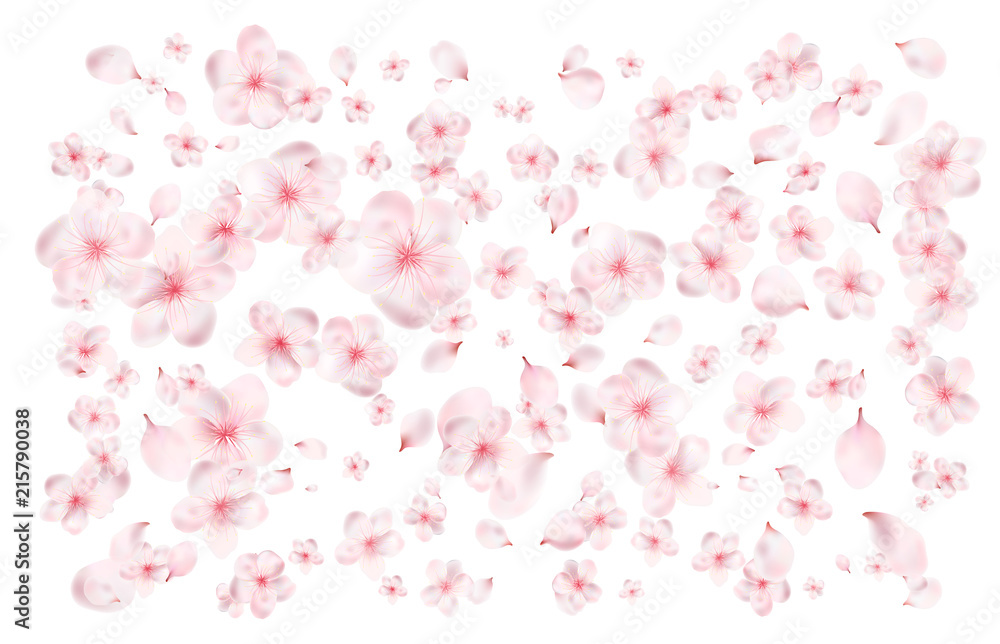 Petals and flowers of a flowering spring tree. Cherry, cherry or Apple flowers. realistic vector