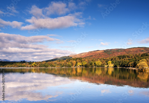 Autumn colour on a hillside at Milarrochy Bay on the banks of Loch Lomond