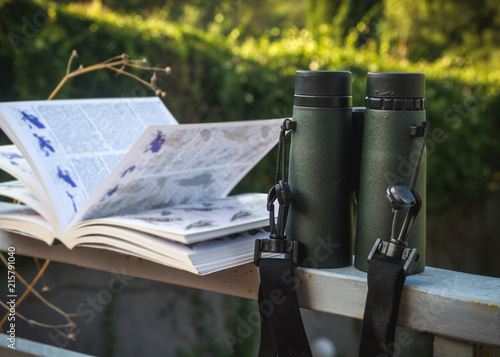 Binoculars and Bird Guide