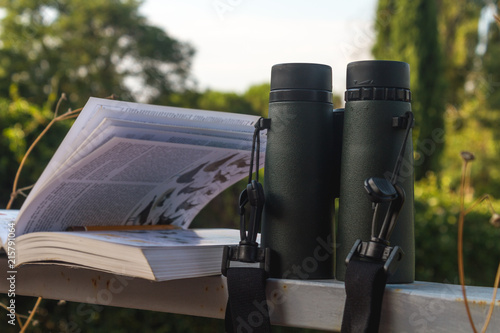 Binoculars and Bird Guide