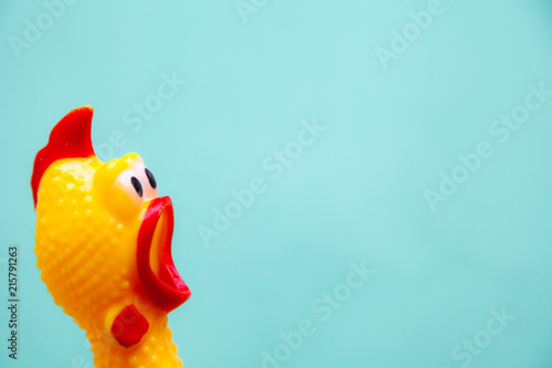 squawking chicken or squeaky toy are shouting and copy space pastel background. photo
