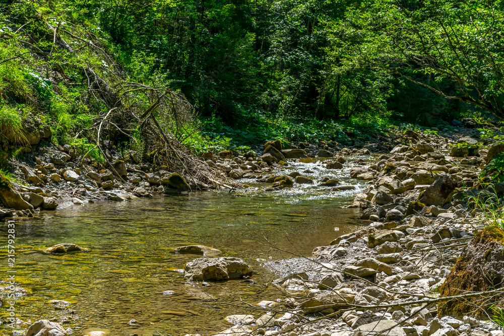 Bachlauf mit steinigem Bett im Wald Bachlauf mit steinigem Bett im Wald