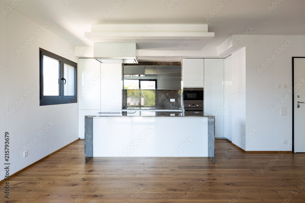 Interior of modern luxury apartment, empty attic Interior of modern luxury apartment, empty attic