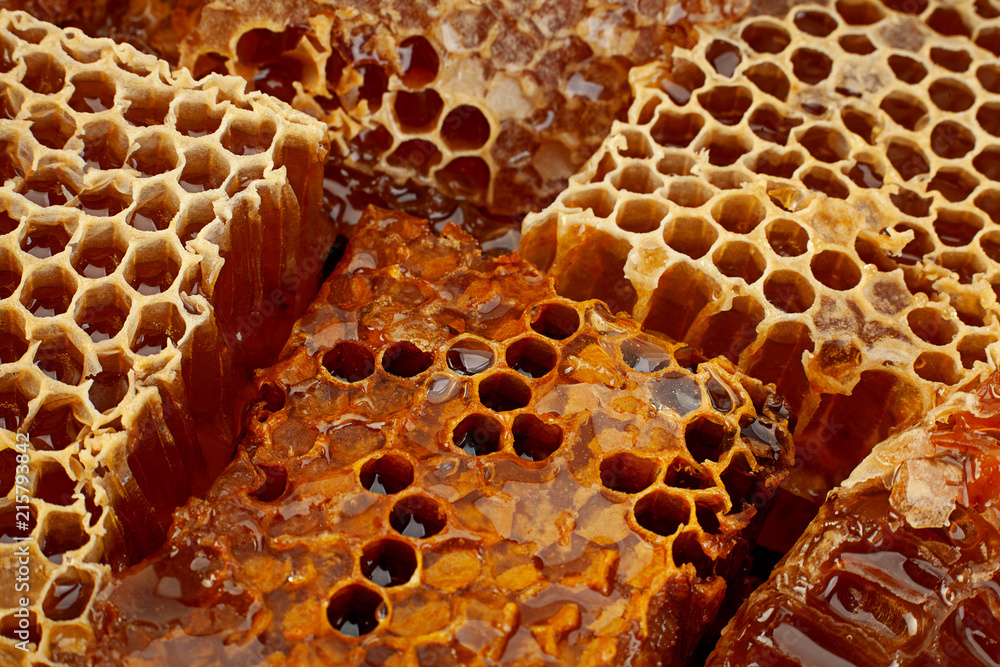 Honeycomb slice closeup background Honeycomb slice closeup background