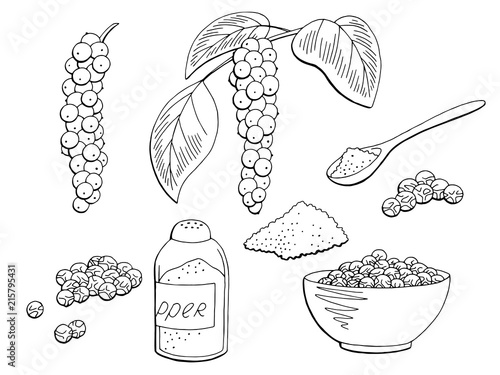 Black pepper plant set graphic isolated sketch illustration vector