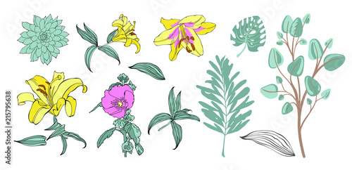 Fototapeta Naklejka Na Ścianę i Meble -  set of hand drawing flowers, vector illustration