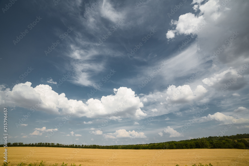 landscape of fields in Russia 