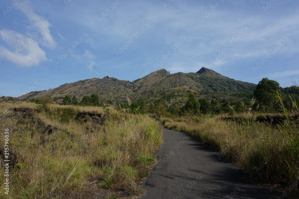 Bali Bali