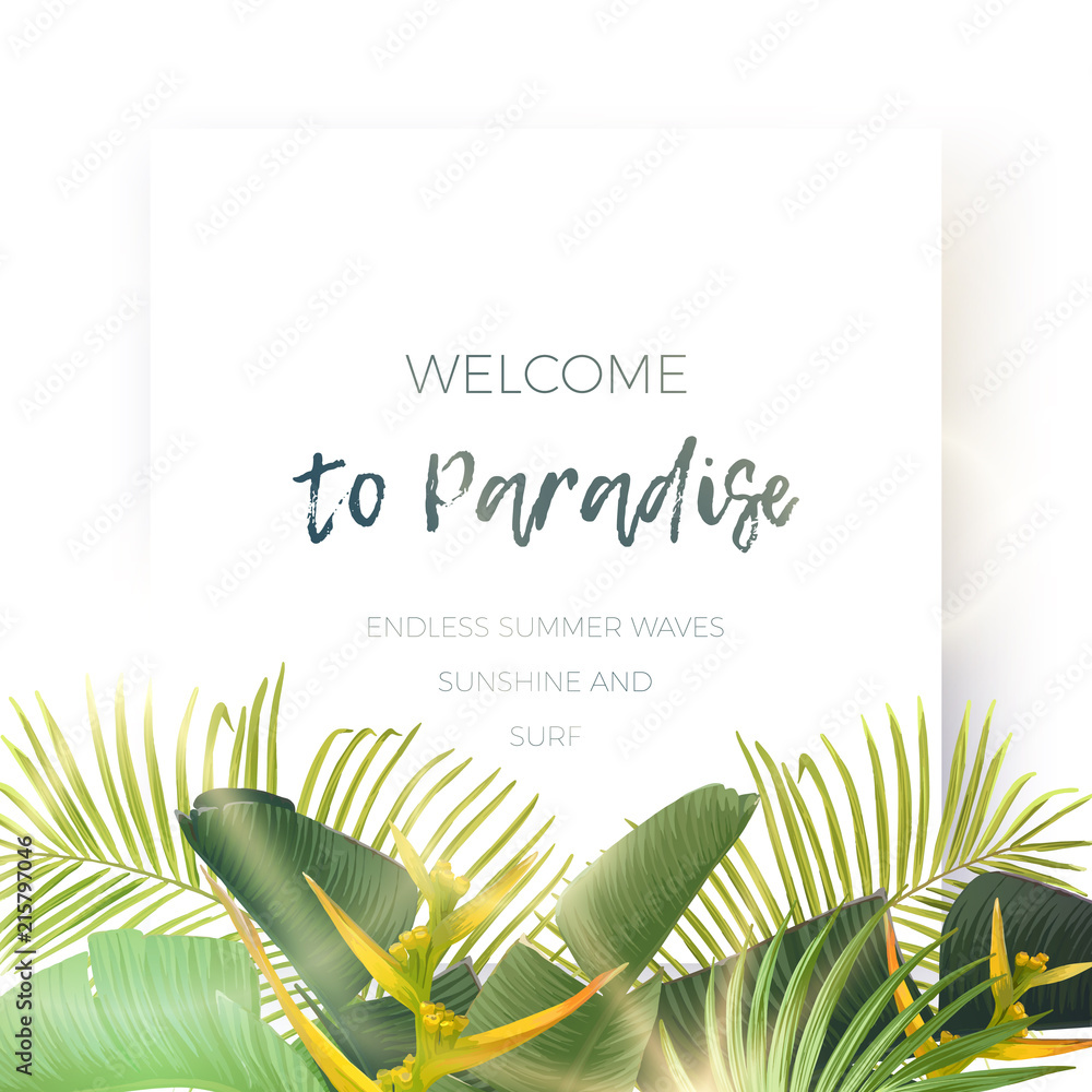 Fototapeta premium Green summer tropical background with exotic palm leaves and plants. Vector floral background.