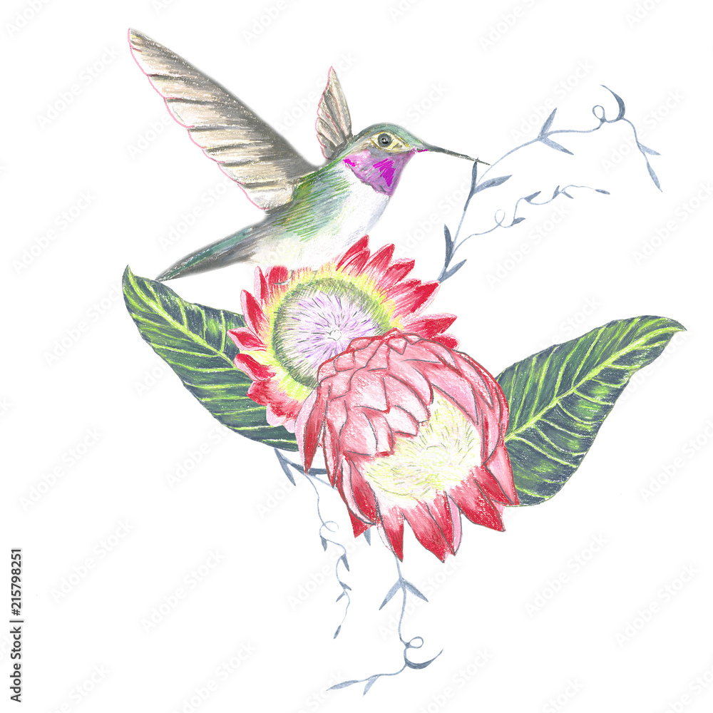 Fototapeta premium flowers and bird. Watercolor illustration for fashion print, poster, textiles, fashion design 